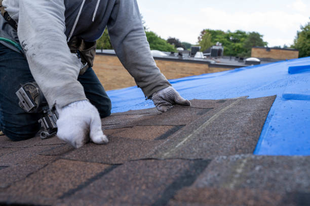 Professional Roofing Contractor in Paramount, CA