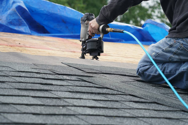 Roof Gutter Cleaning in Paramount, CA