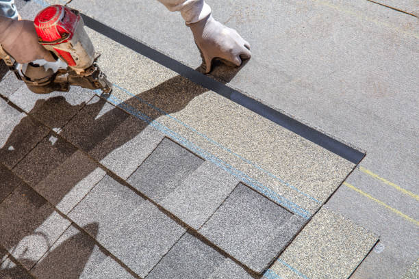 Best Roof Gutter Cleaning  in Paramount, CA